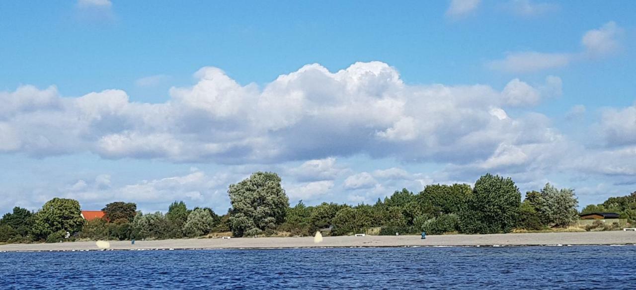 Zum Lachsfischer Schaprode Exterior foto